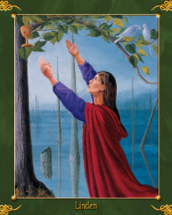 green-world-oracle_Linden
